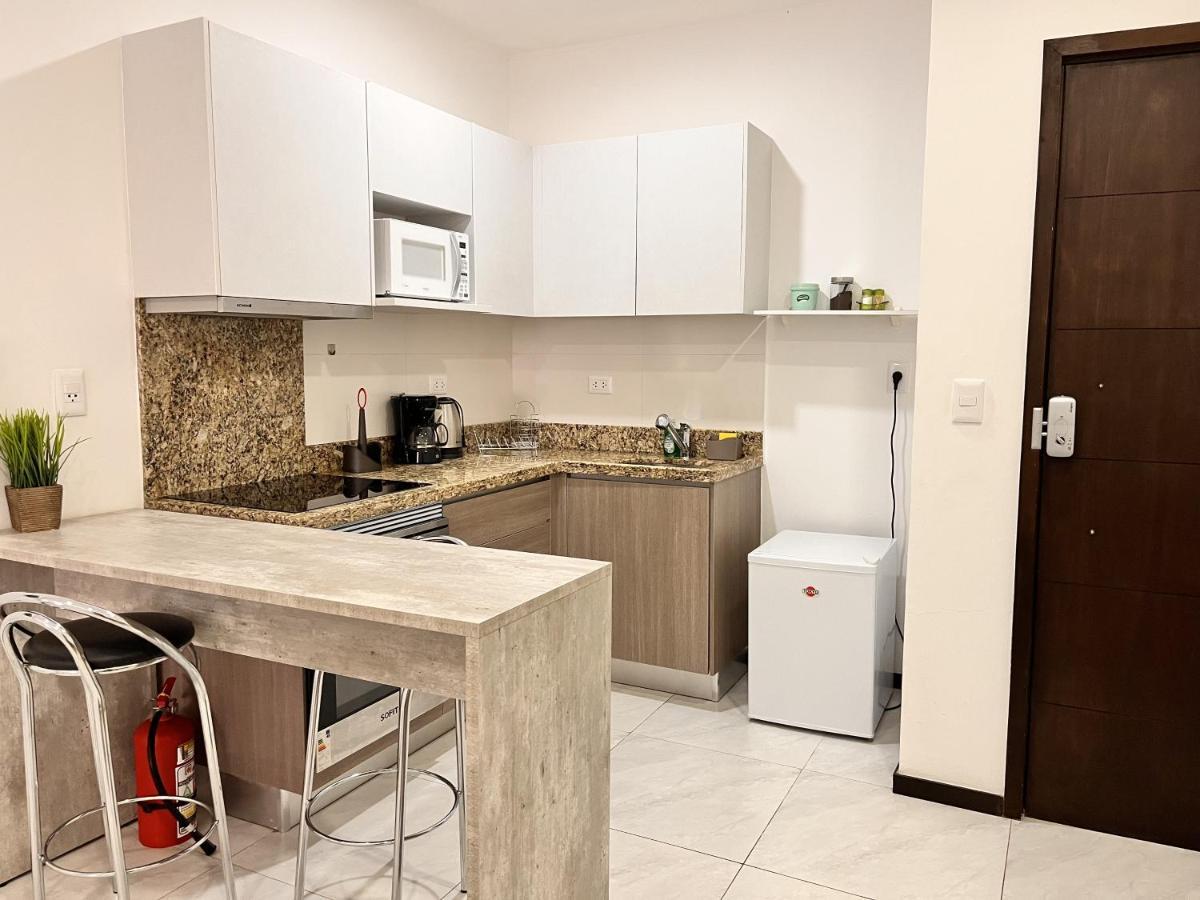 Departamento 1 Habitacion Zona Exclusiva Asunción Zewnętrze zdjęcie